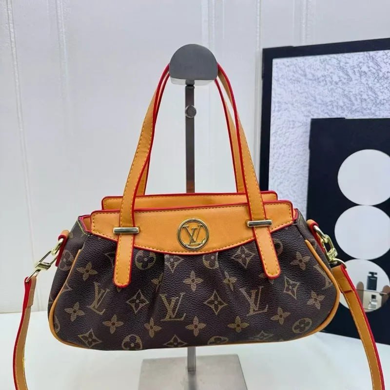 Louis Vuitton Bag Collection （30+） -2