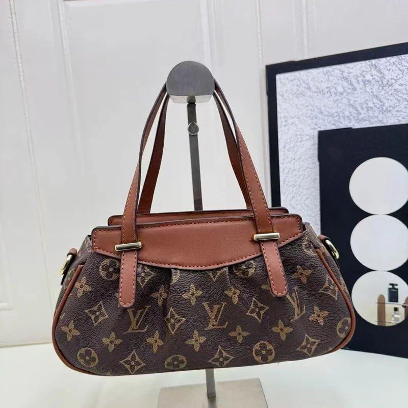 Louis Vuitton Bag Collection （30+） -3