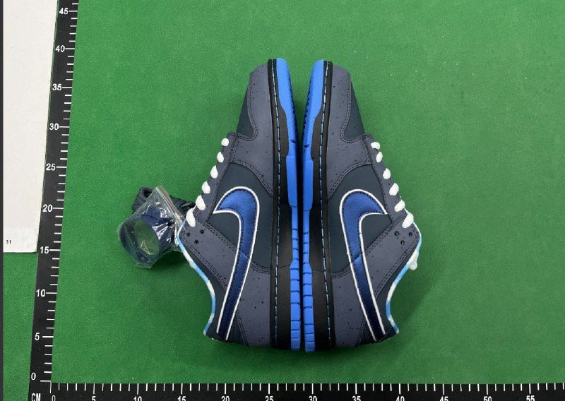 Nike DUNK -4