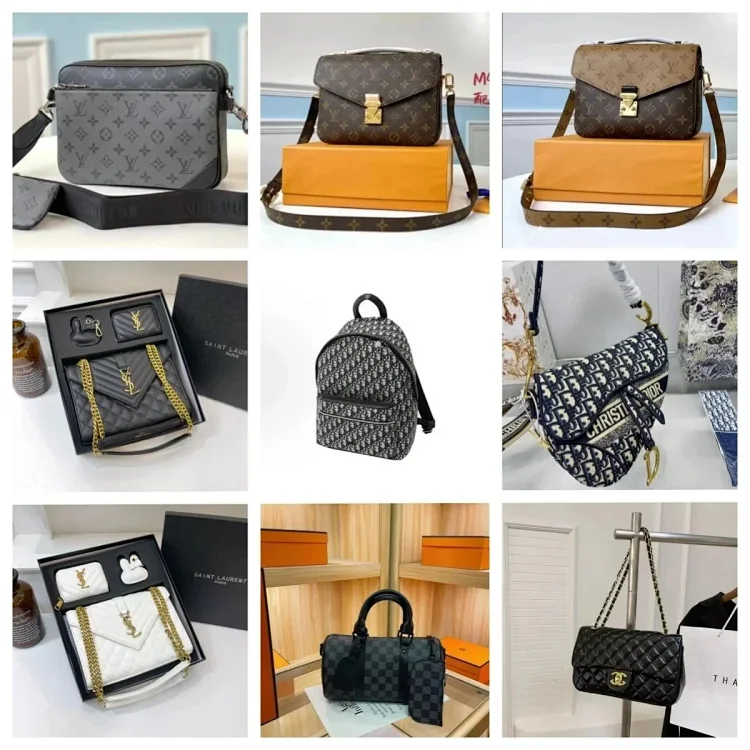 LV Dior bag