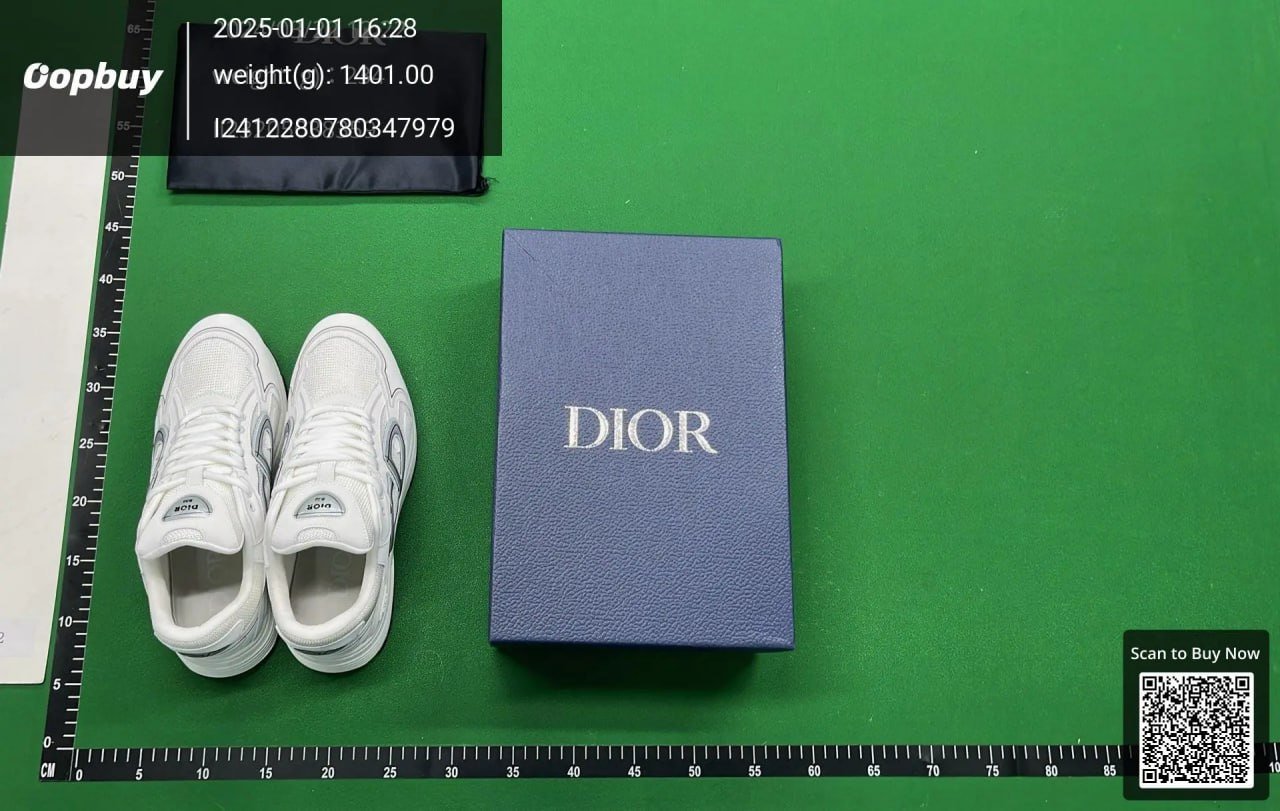 Dior B30 Sneakers Shoes  （30+） -2