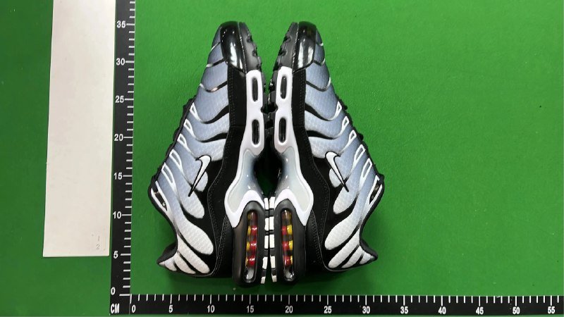 Nike Air Max Plus TN Sneakers -1